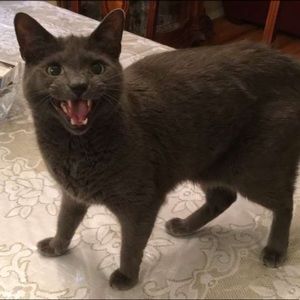 Meet your Posher, Andy